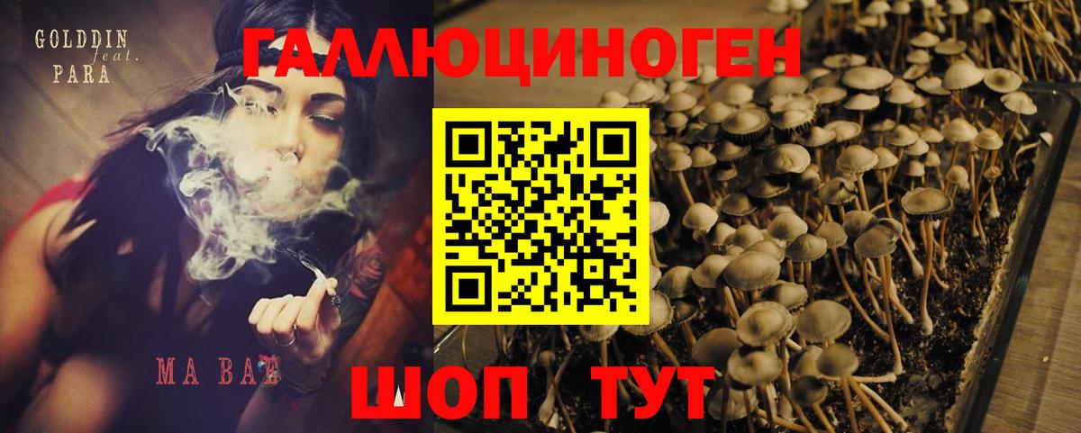 Псилоцибиновые грибы Psilocybine cubensis  Вход с VPN  Галлюциногенные грибы мицелий  Симферополь 