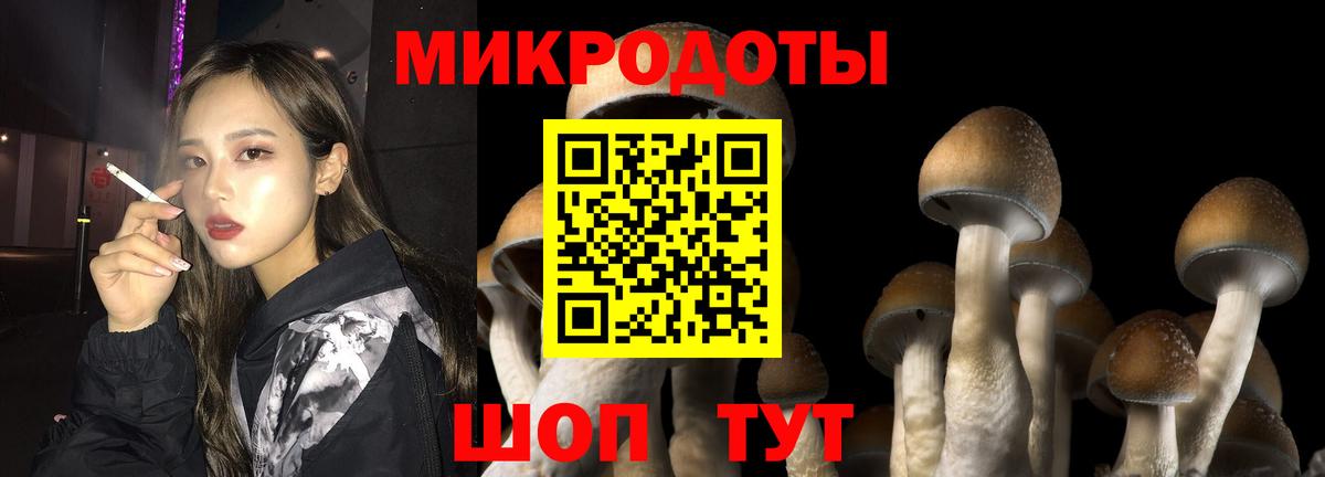 Галлюциногенные грибы мицелий Симферополь